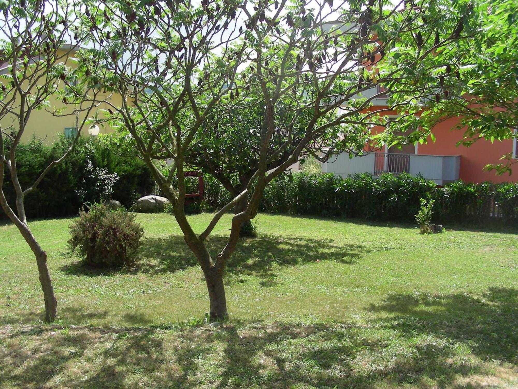 Pier Delle Vigne B&B Pineto Eksteriør bilde
