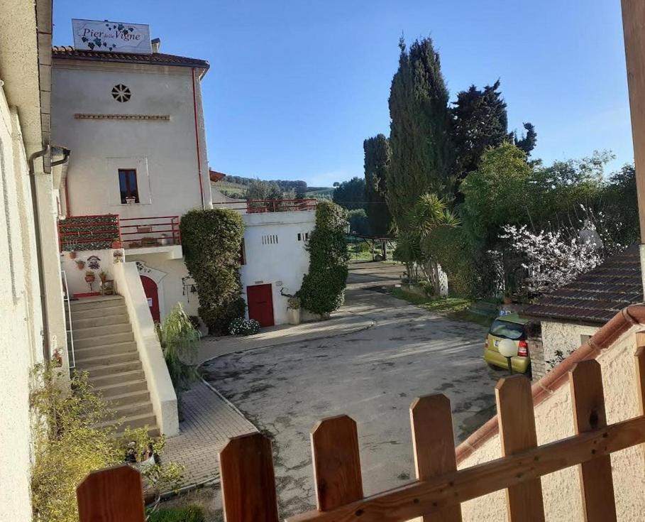 Pier Delle Vigne B&B Pineto Eksteriør bilde