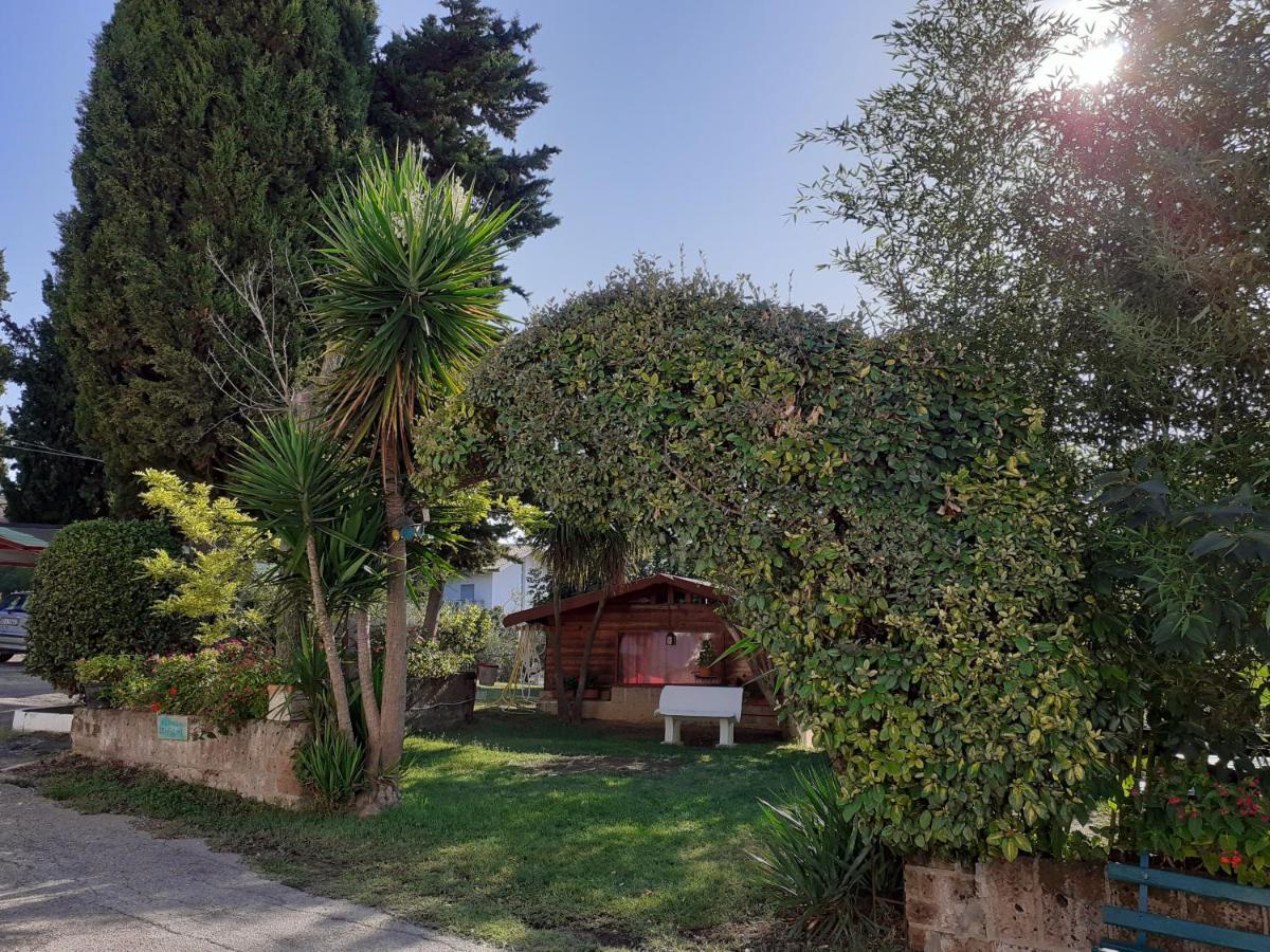 Pier Delle Vigne B&B Pineto Eksteriør bilde