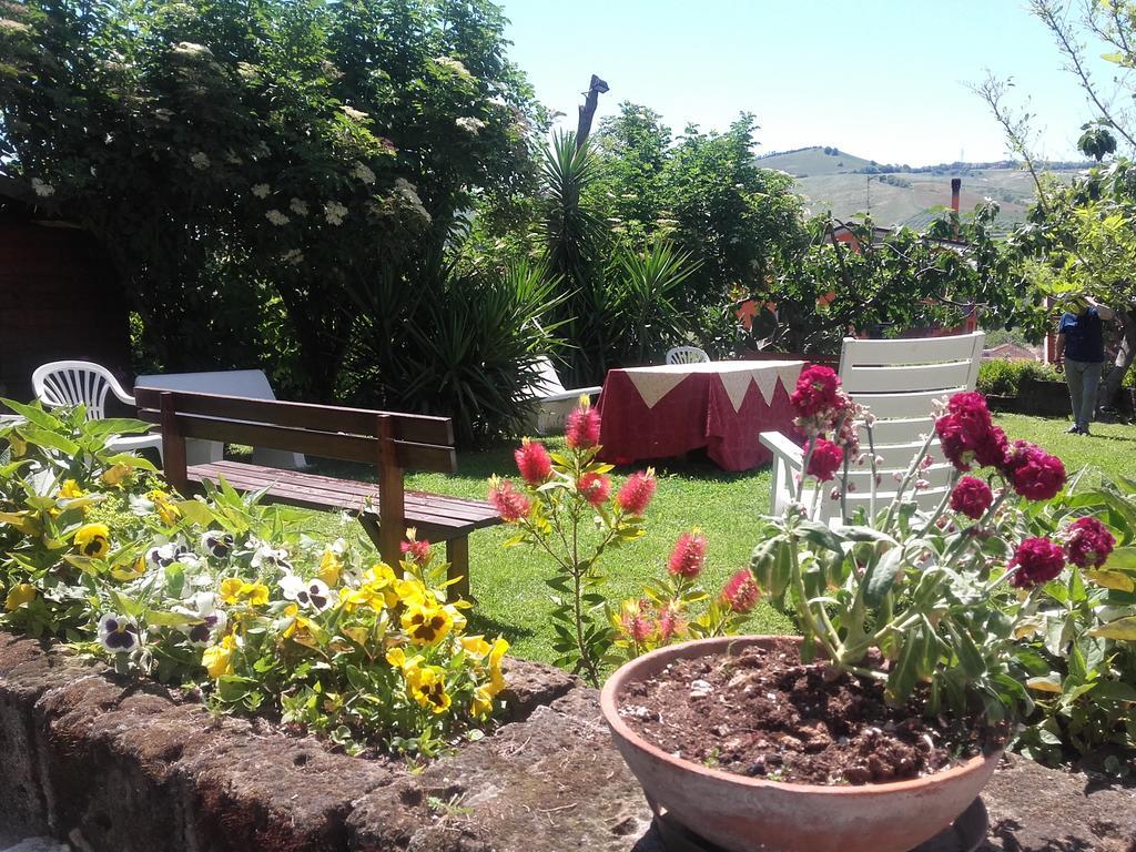 Pier Delle Vigne B&B Pineto Eksteriør bilde