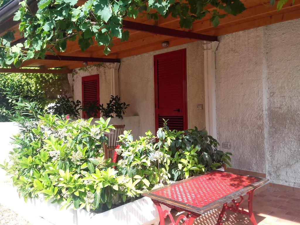 Pier Delle Vigne B&B Pineto Eksteriør bilde