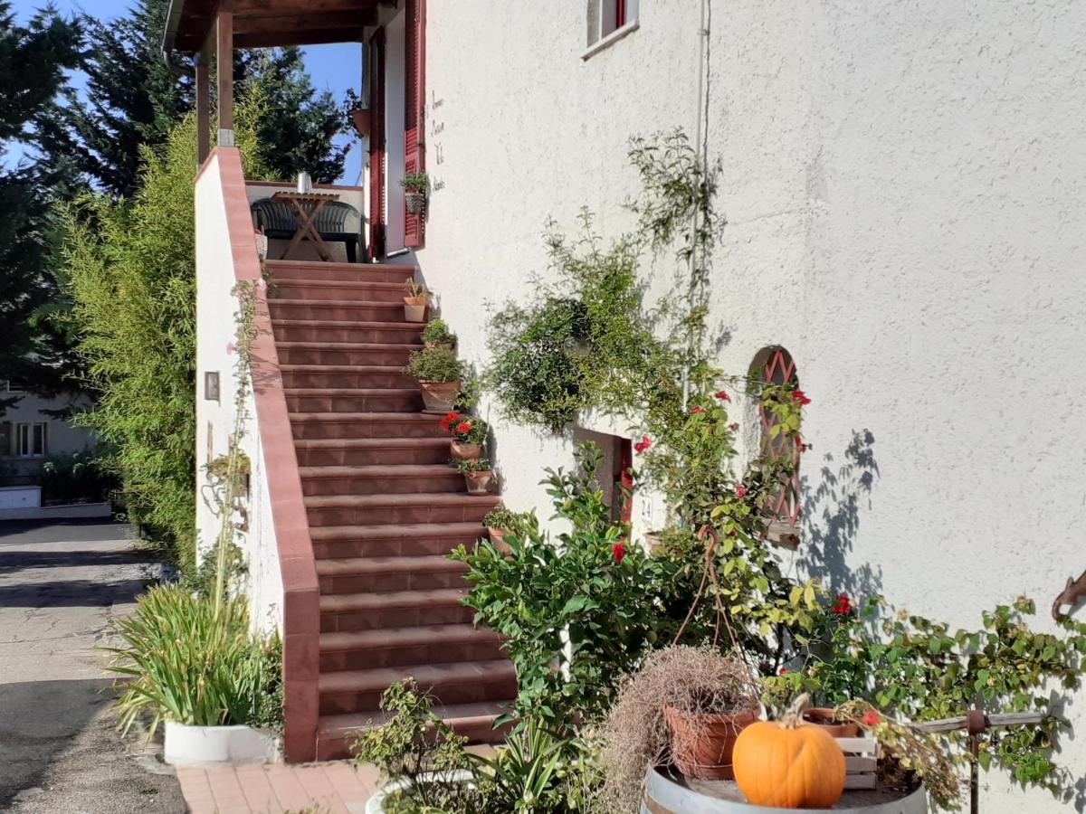 Pier Delle Vigne B&B Pineto Eksteriør bilde