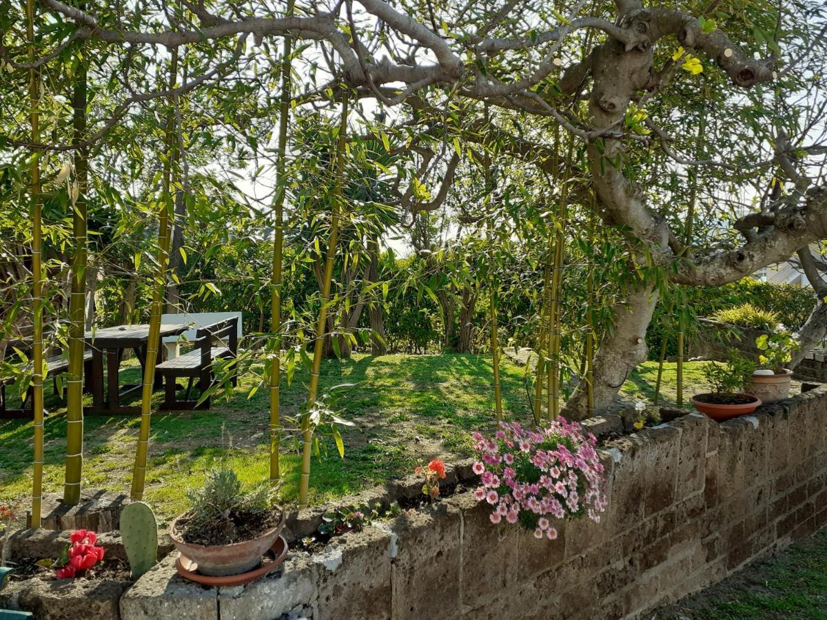 Pier Delle Vigne B&B Pineto Eksteriør bilde