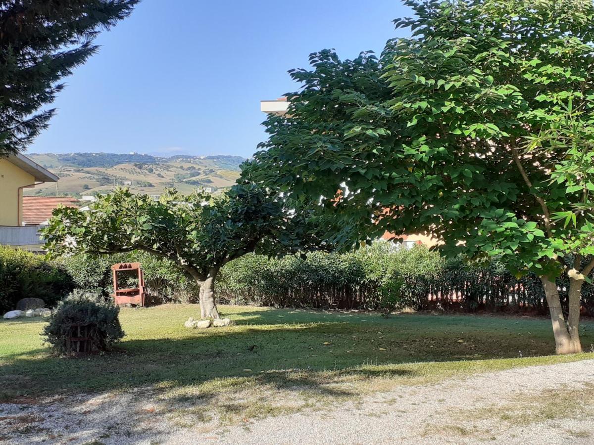 Pier Delle Vigne B&B Pineto Eksteriør bilde