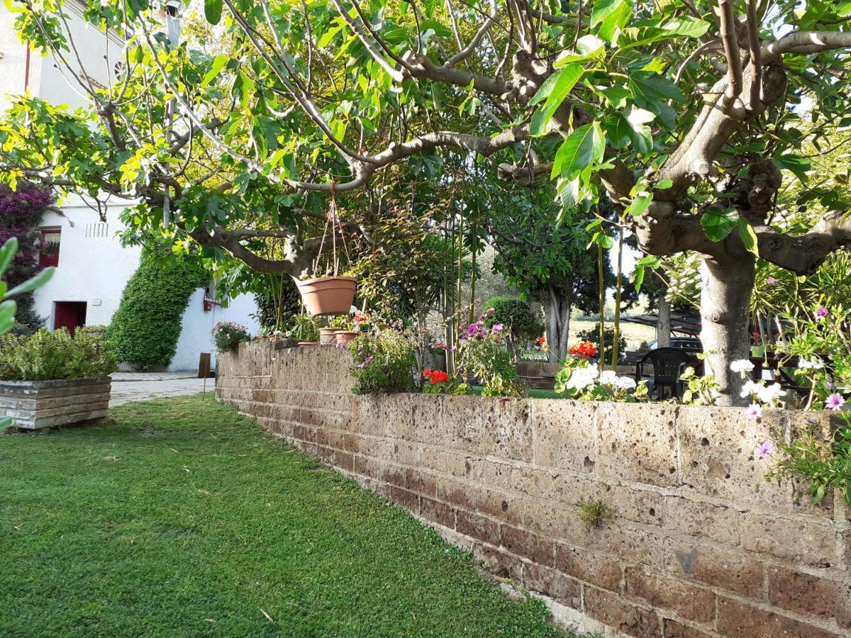 Pier Delle Vigne B&B Pineto Eksteriør bilde