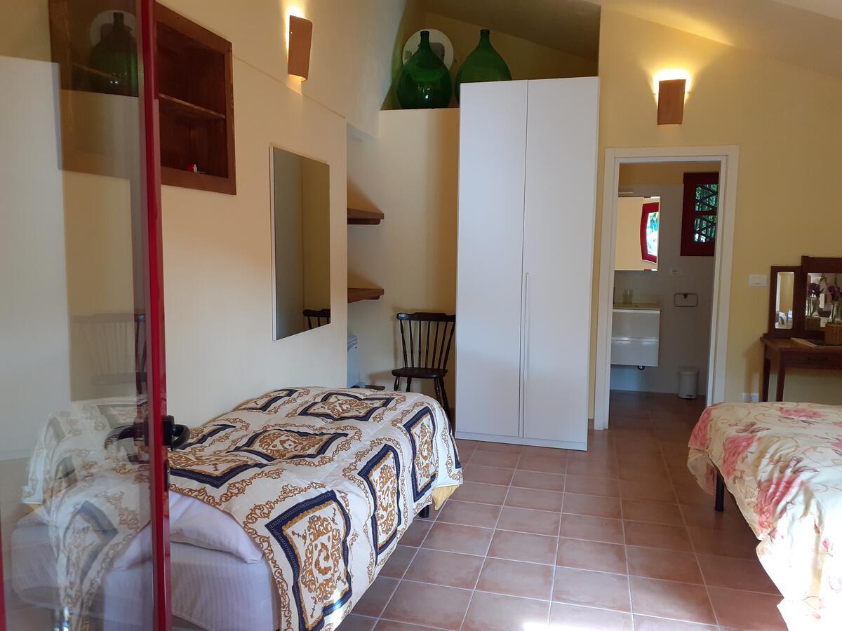 Pier Delle Vigne B&B Pineto Eksteriør bilde
