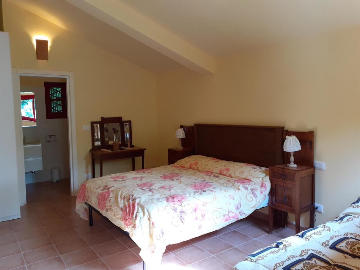 Pier Delle Vigne B&B Pineto Eksteriør bilde