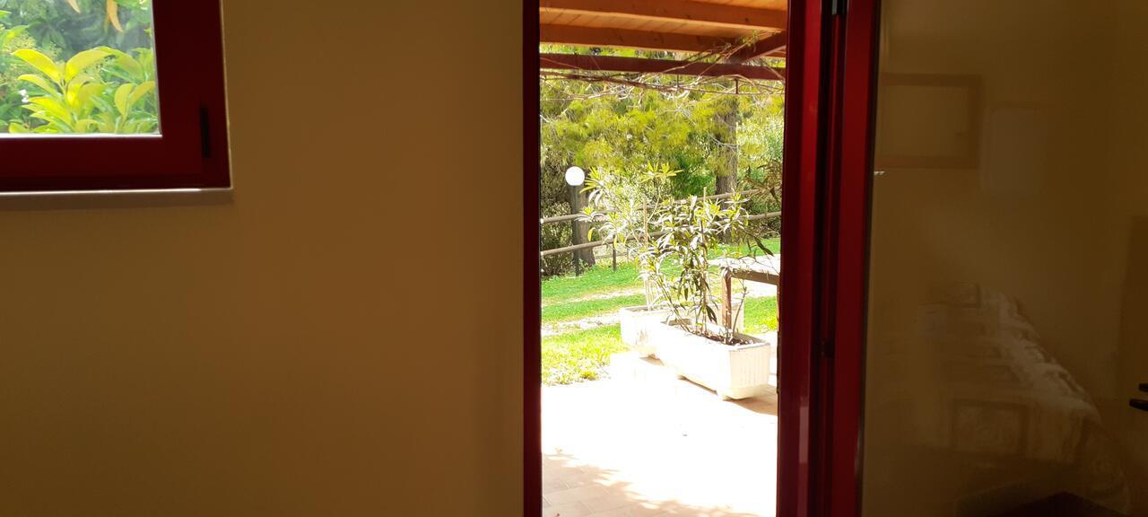 Pier Delle Vigne B&B Pineto Eksteriør bilde