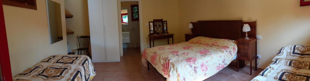 Pier Delle Vigne B&B Pineto Eksteriør bilde
