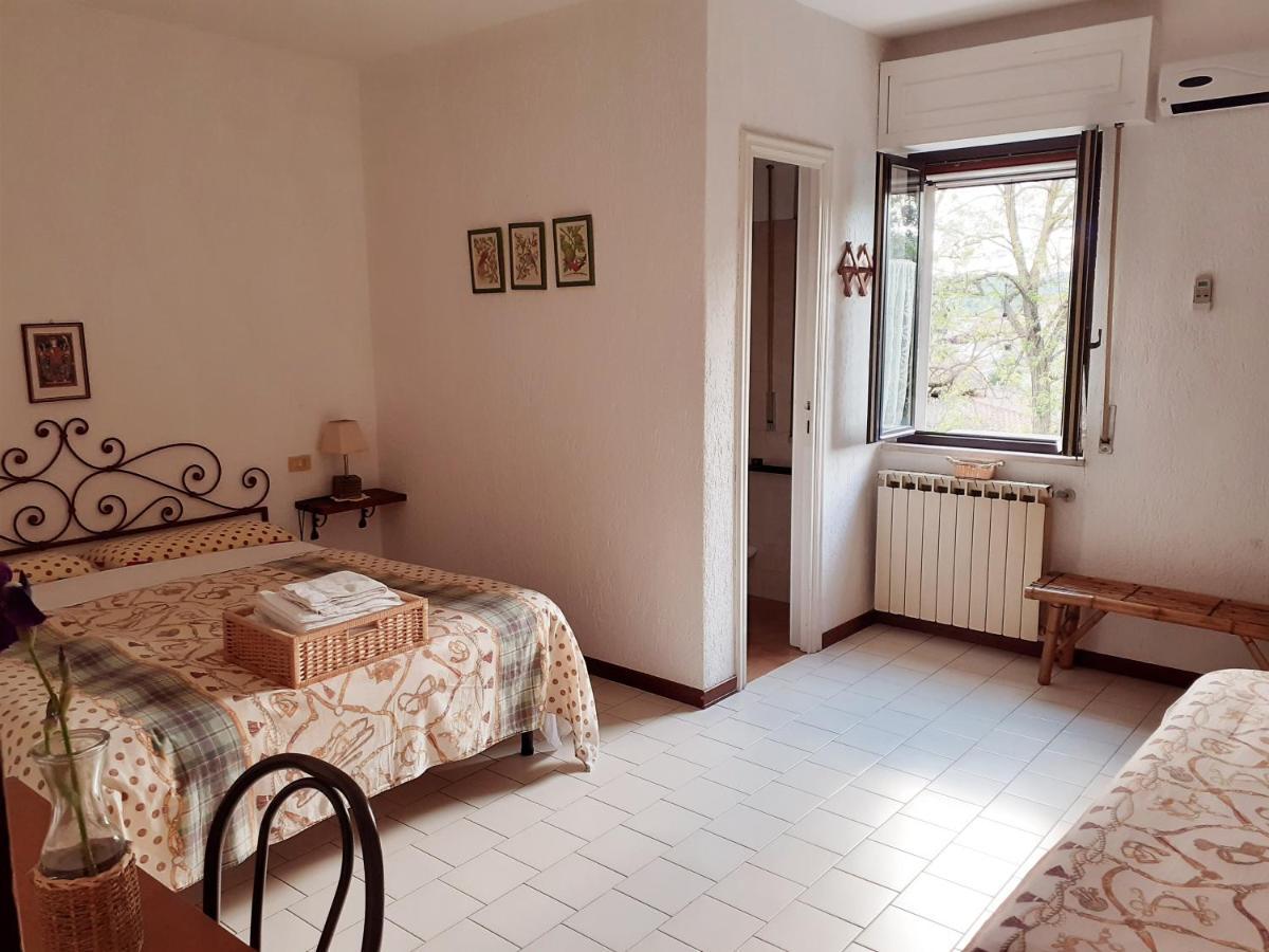 Pier Delle Vigne B&B Pineto Eksteriør bilde