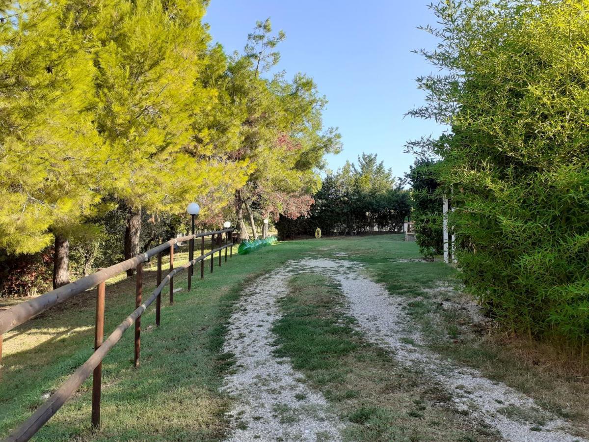 Pier Delle Vigne B&B Pineto Eksteriør bilde