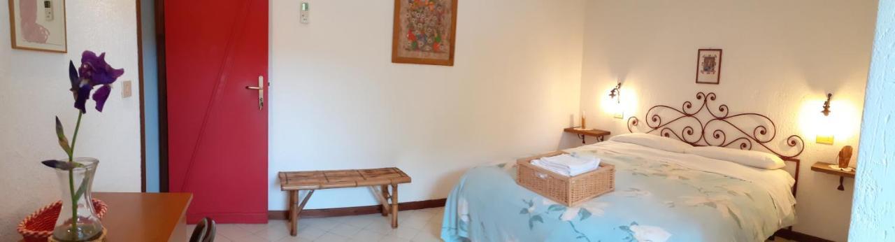 Pier Delle Vigne B&B Pineto Eksteriør bilde