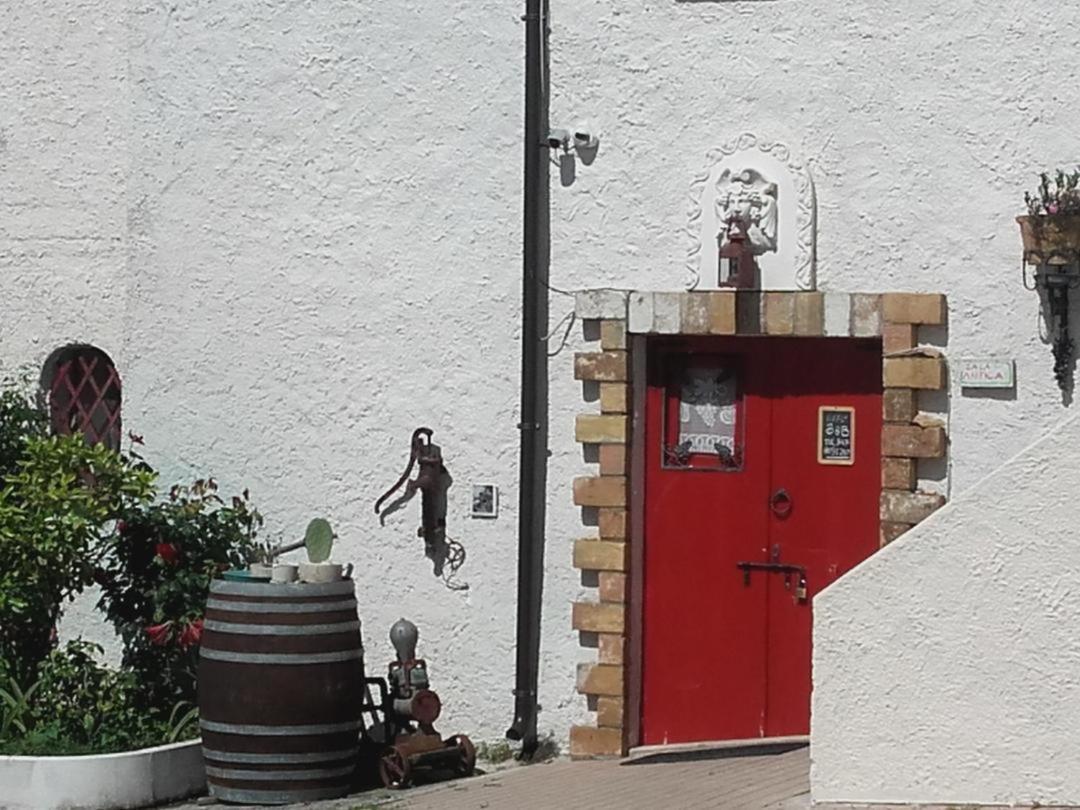 Pier Delle Vigne B&B Pineto Eksteriør bilde