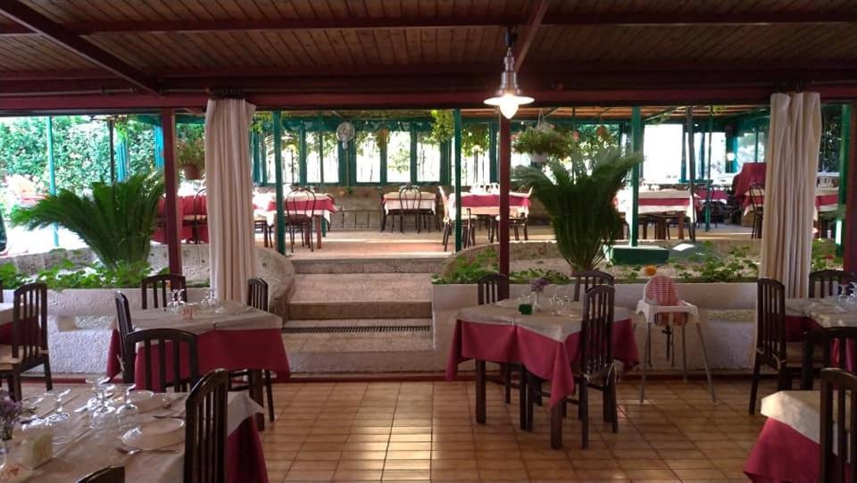 Pier Delle Vigne B&B Pineto Eksteriør bilde