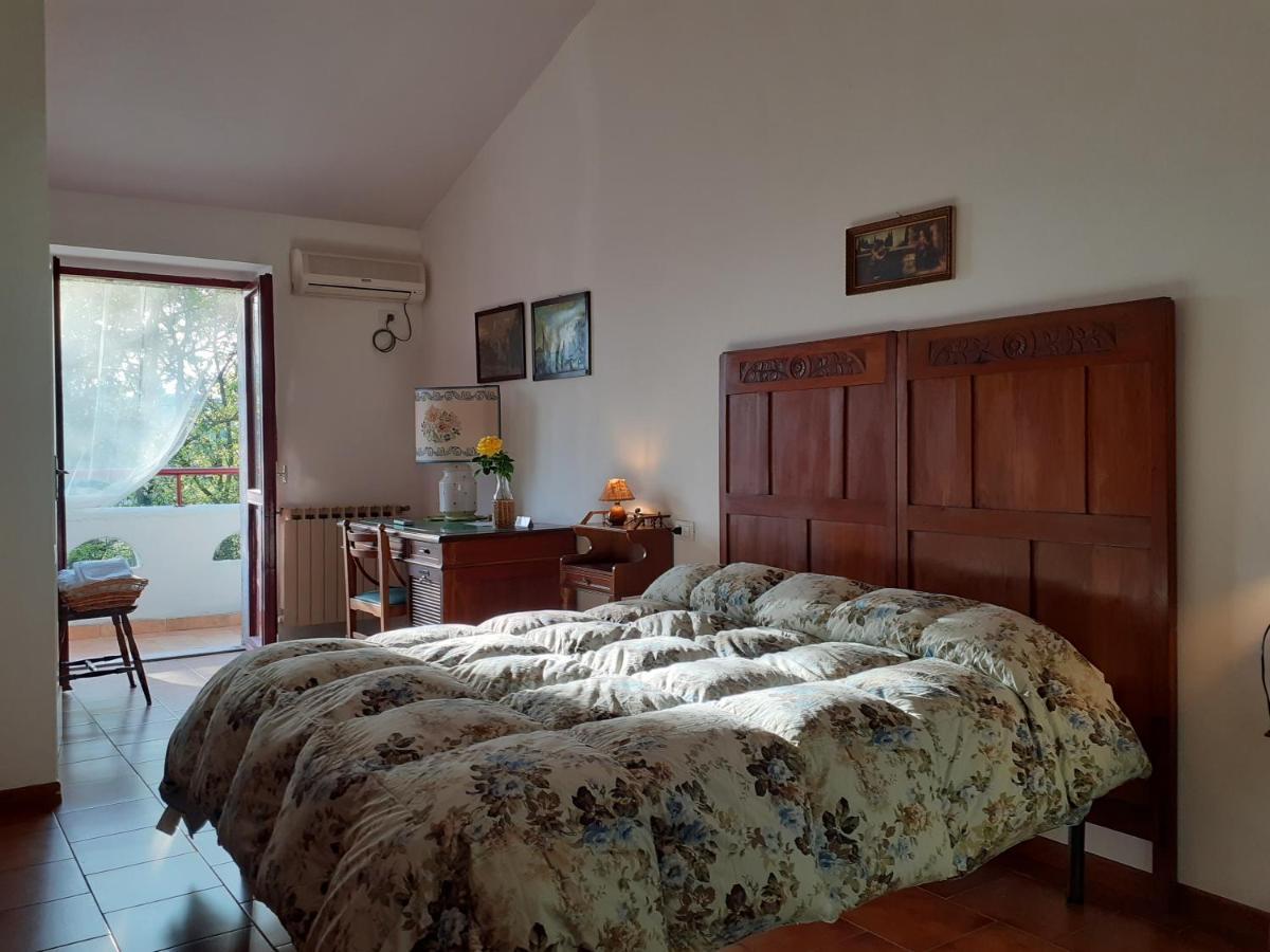 Pier Delle Vigne B&B Pineto Eksteriør bilde