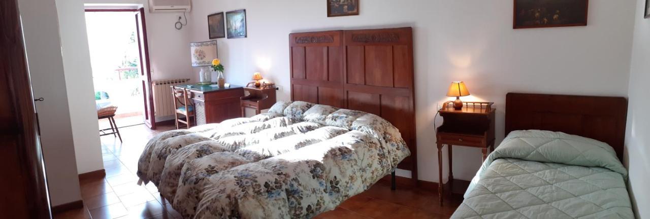 Pier Delle Vigne B&B Pineto Eksteriør bilde